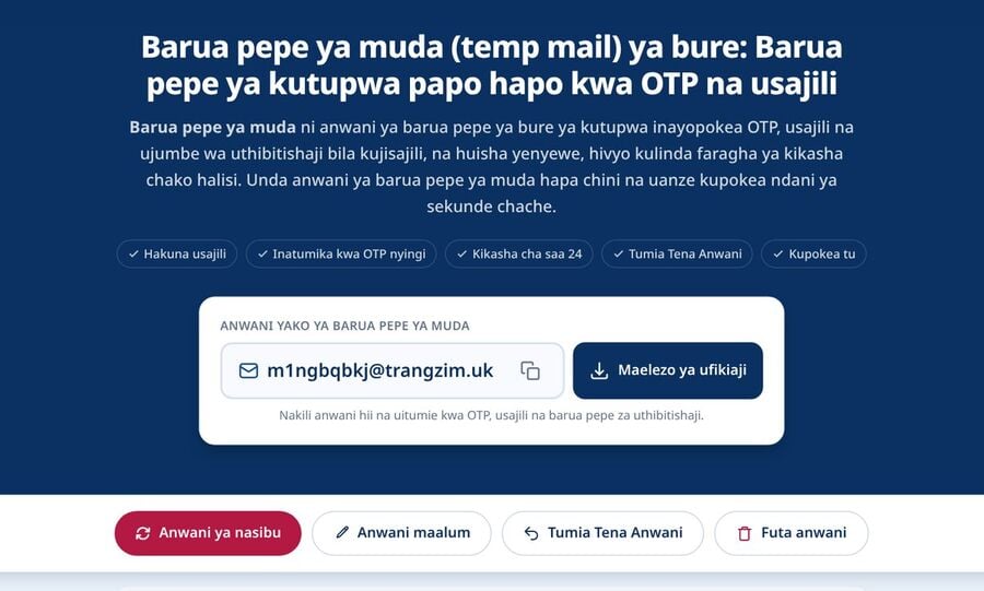 Ukurasa wa nyumbani wa Tmailor ukionyesha anwani ya muda iliyotengenezwa kiotomatiki aikoni ya kunakili kitufe cha Maelezo ya ufikiaji na vitufe vya Anwani ya nasibu Anwani maalum Tumia Tena Anwani na Futa anwani